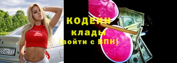 амф Арсеньев