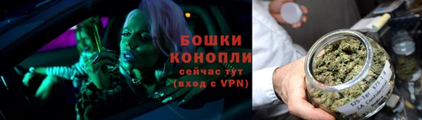 амф Арсеньев
