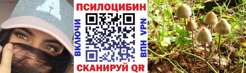 Псилоцибиновые грибы мицелий  цена наркотик  ссылка на мегу вход  Дно 