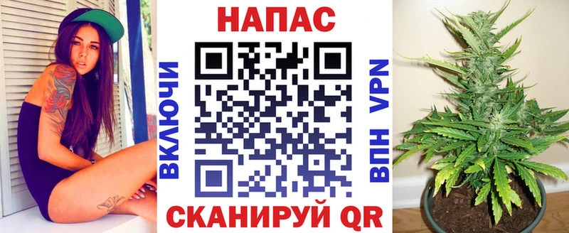 Бошки марихуана Bruce Banner  Дно 